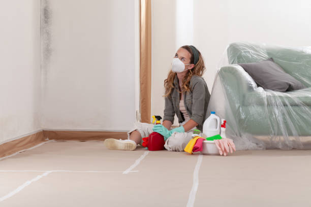 Reliable Commercial Mold Remediation contractor in Bridgeport, TX by WQB Mold Removal